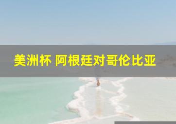 美洲杯 阿根廷对哥伦比亚